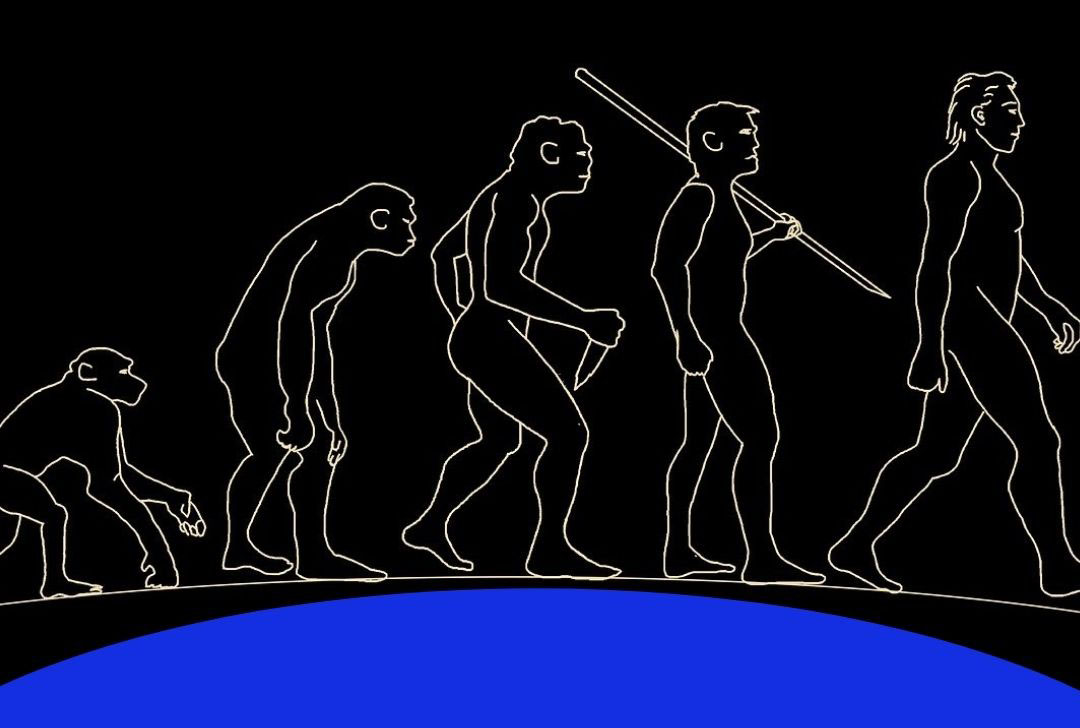 ▷La evolución del ser humano. Desde los antiguos primates al Homo sapiens