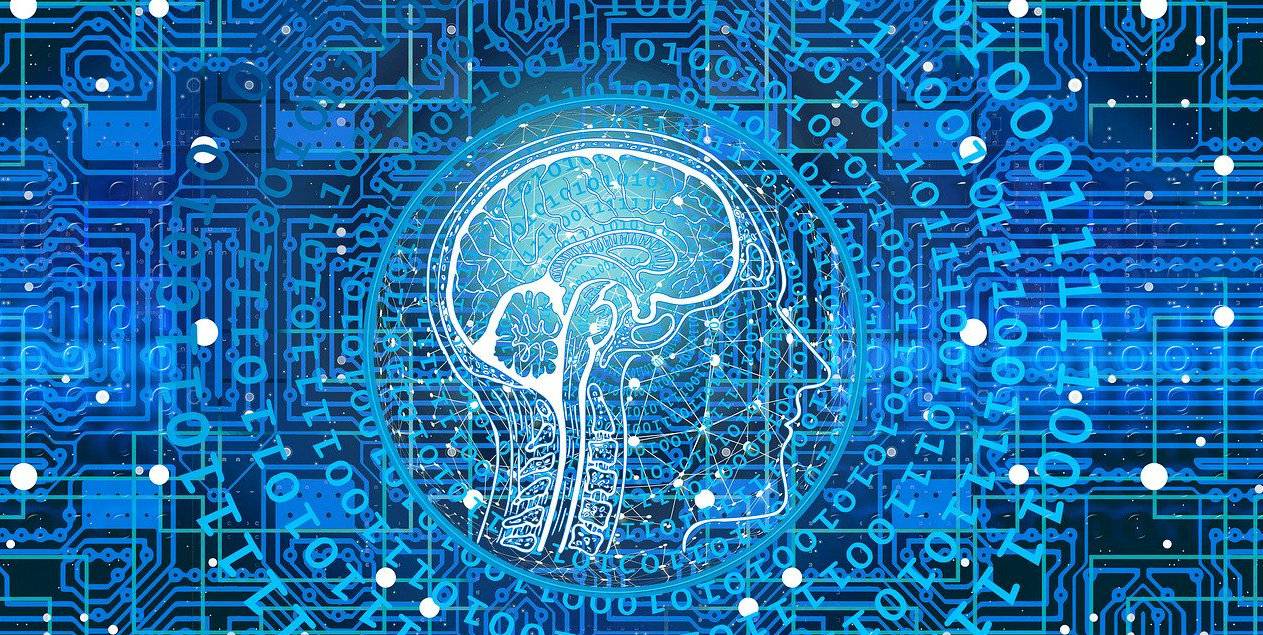 El cerebro y las nuevas tecnologías
