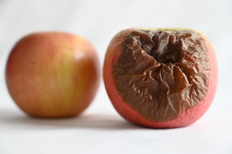 Foto de dos manzanas rojas, una está bien y la otra está en proceso de putrefacción.