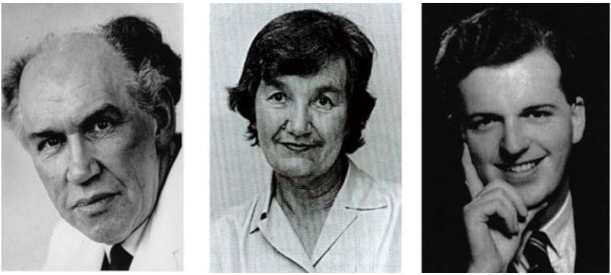 Figura 2. Arthur Walpole, Dora Richardson y Mike Harper, tres de los miembros del equipo de investigadores de ICI que descubrieron el tamoxifeno. Fuente: V. Craig Jordan. Endocr Relat Cancer. 2021; 28(1): R11–R30. doi:10.1530/ERC-20-0335.