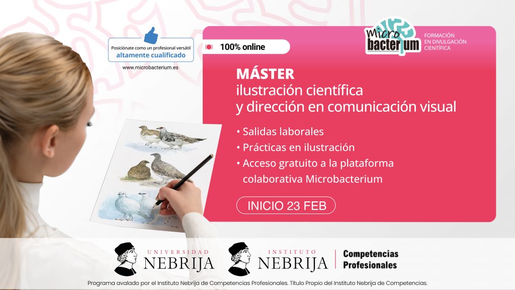 16 9 micro bacterium 01