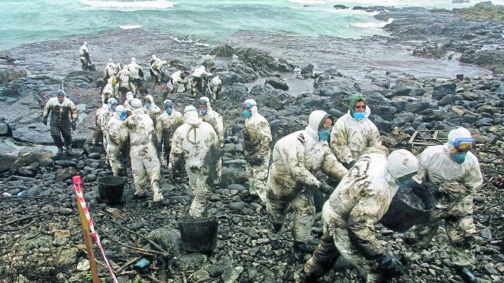 Un pulso contra la extinción: ¿vale más prevenir que curar? 8 63701b828ba71.r d.842 606 7348