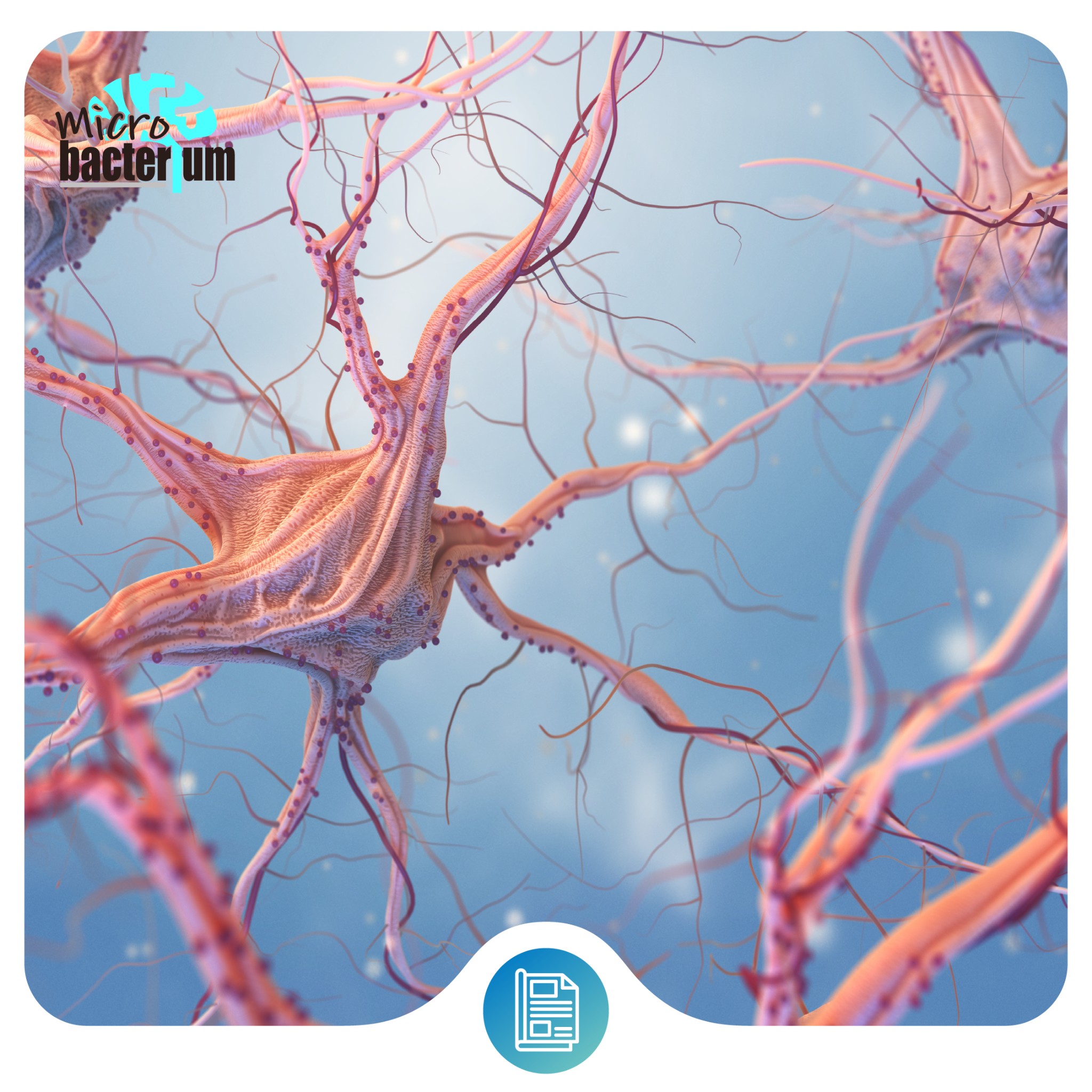 cerebro prensa 16 menos 3MB