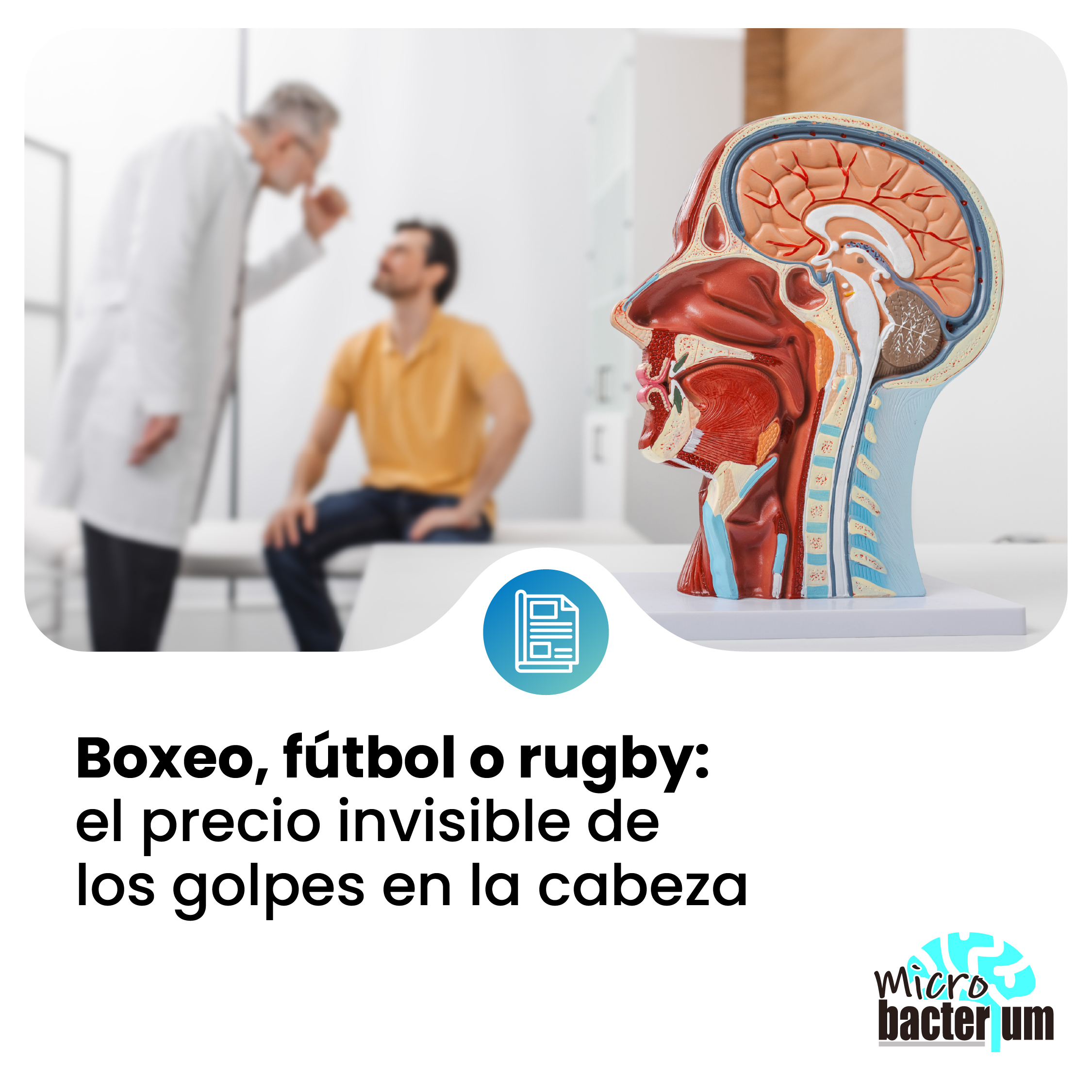 BOXEO prensa 20