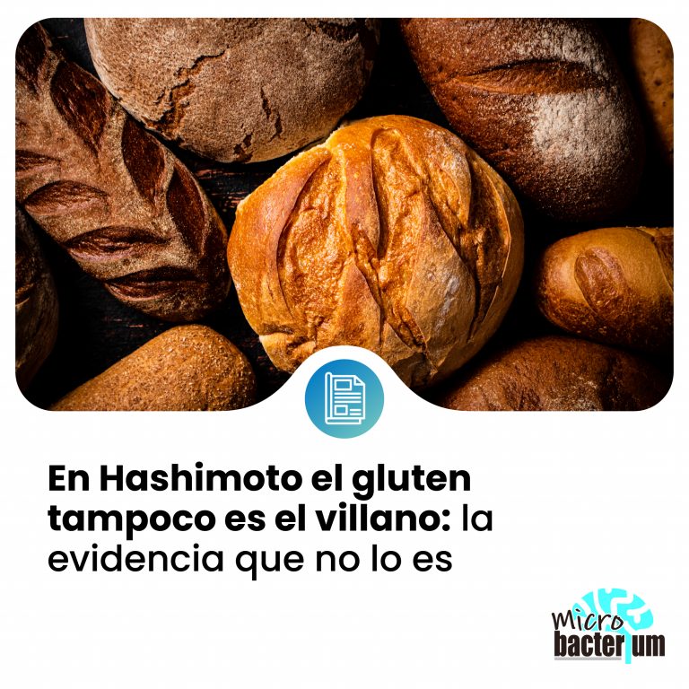 HASHIMOTO prensa 17