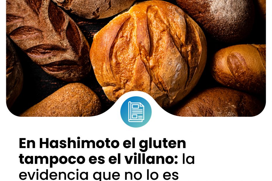 HASHIMOTO prensa 17