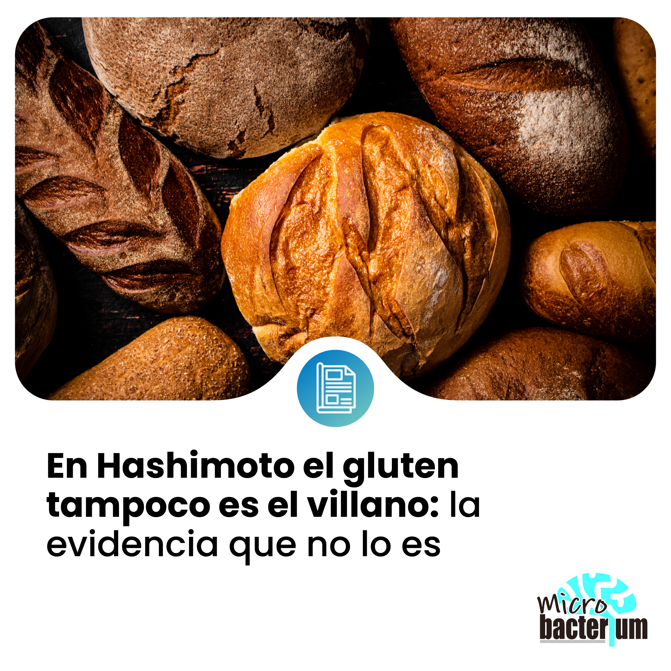 HASHIMOTO prensa 17