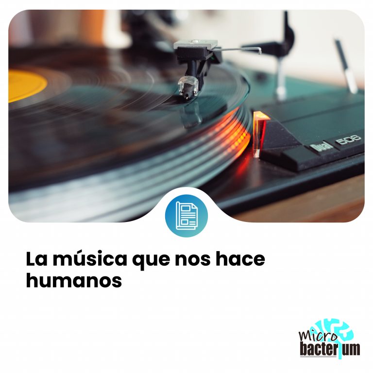 MUSICA de prensa 19