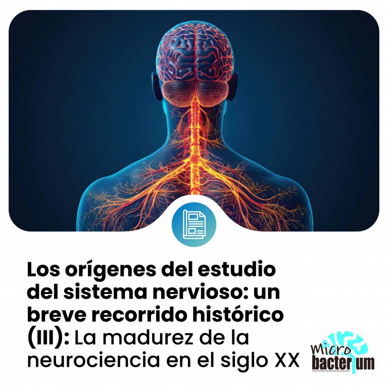 SISTEMA NERVIOSO prensa 18