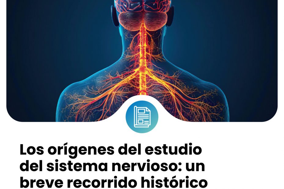 Los orígenes del estudio del sistema nervioso: un breve recorrido histórico (III): La madurez de la neurociencia en el siglo XX 1 SISTEMA NERVIOSO prensa 18