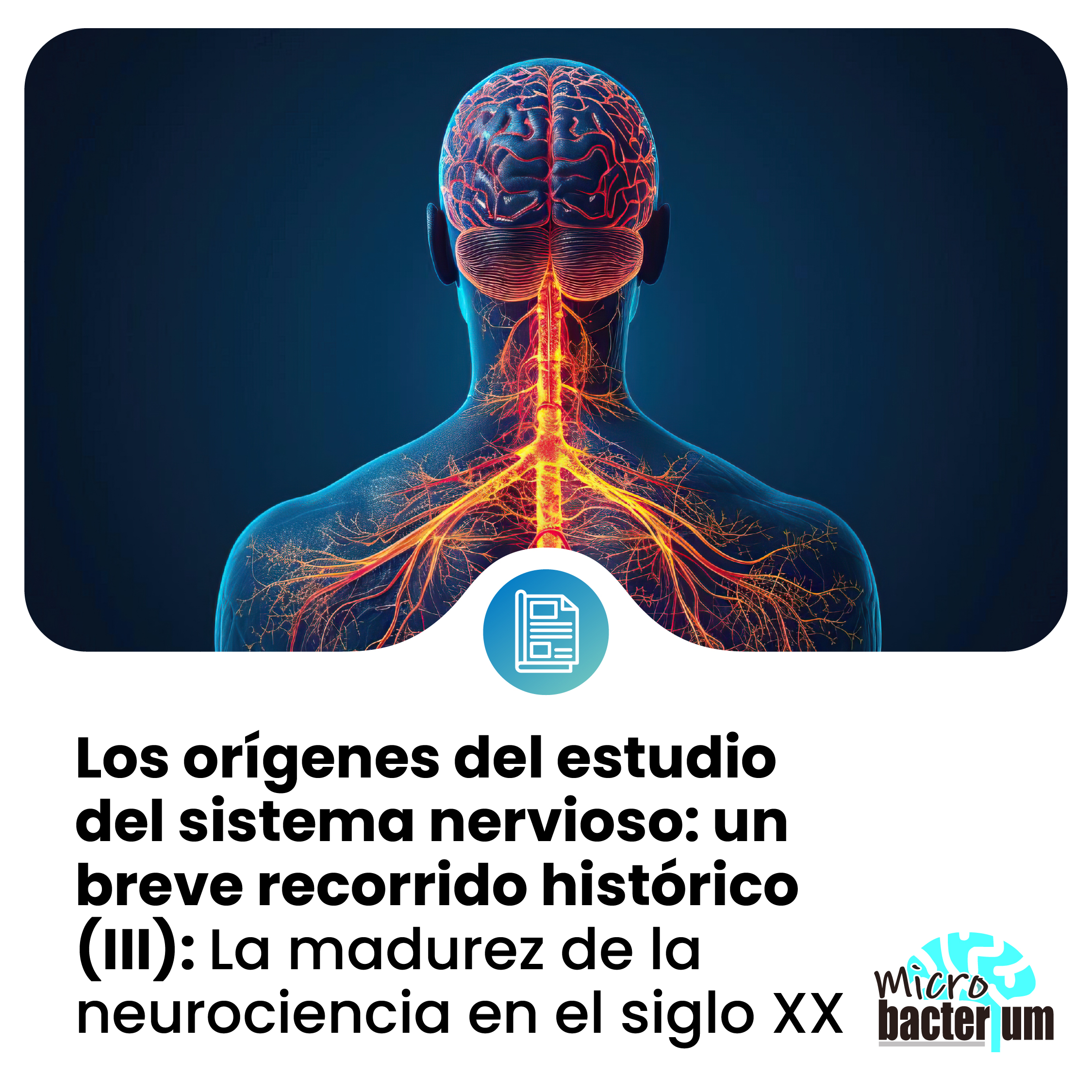 SISTEMA NERVIOSO prensa 18