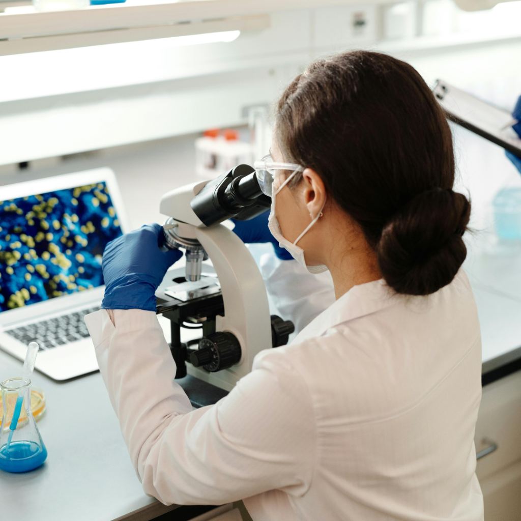 Corazón en un chip: cuando la ingeniería imita a la biología humana 1 bio